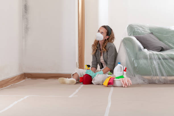 Reliable Mold Testing contractor in Pikesville, MD by WQB Mold Removal