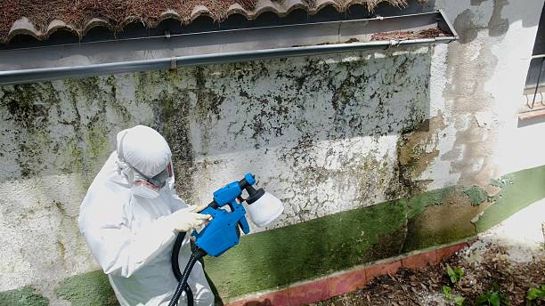 Top rated local Mold Testing specialists in Pikesville, MD